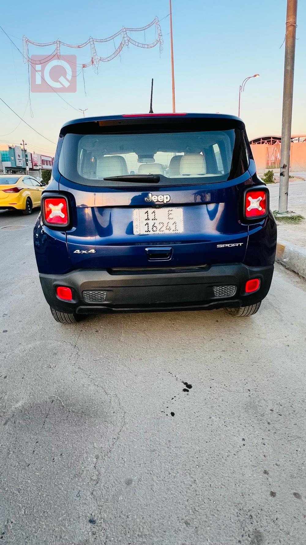 جيب رينيجيد